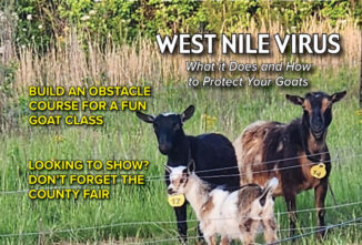 Goat Journal Digital Issue 13